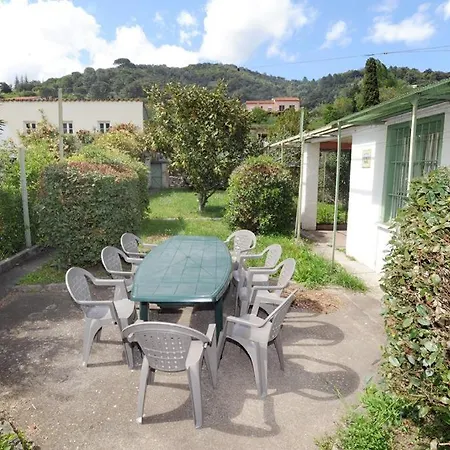 Landsted Can Parent Arles-sur-Tech